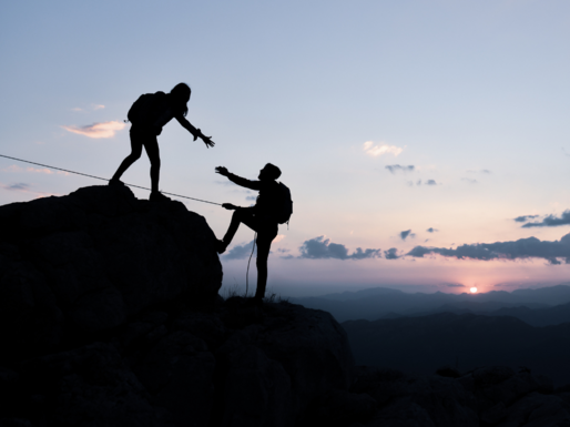 Online-Beratung & Strategieentwicklung